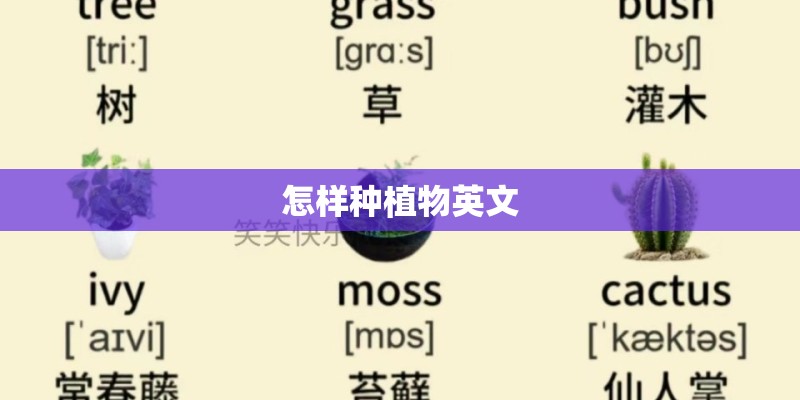 怎样种植物英文