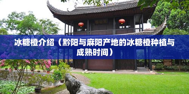 冰糖橙介绍（黔阳与麻阳产地的冰糖橙种植与成熟时间）