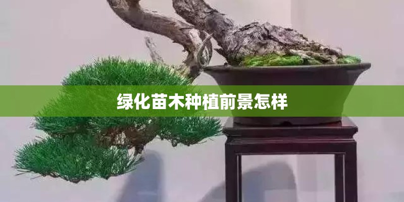 绿化苗木种植前景怎样