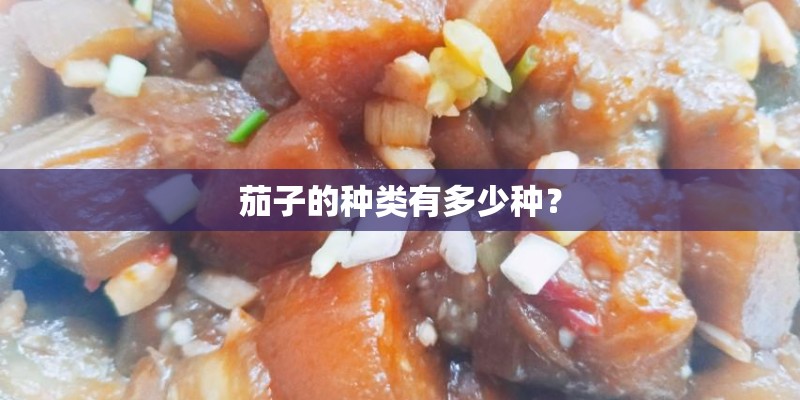 茄子的种类有多少种？