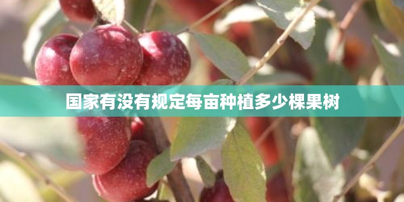 国家有没有规定每亩种植多少棵果树