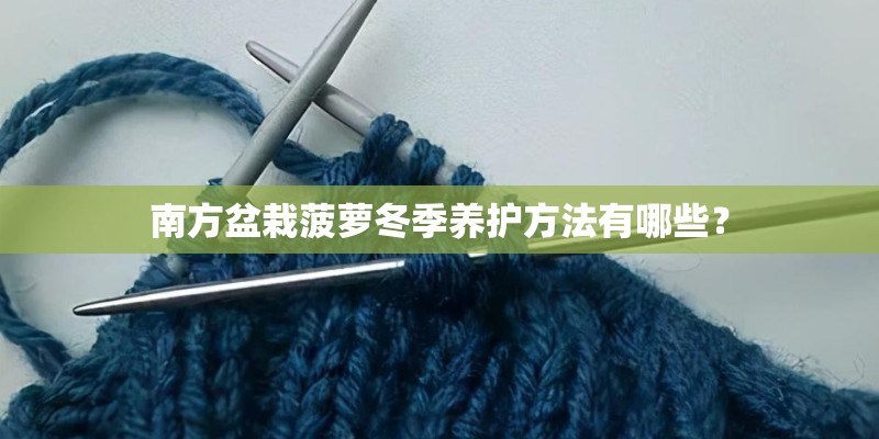 南方盆栽菠萝冬季养护方法有哪些？