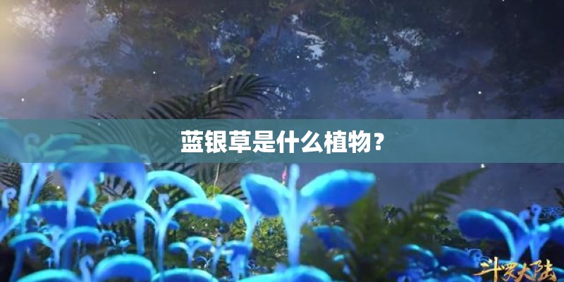 蓝银草是什么植物? 蓝银草是什么植物?