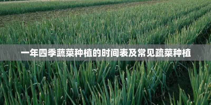 一年四季蔬菜种植的时间表及常见疏菜种植 一年四季蔬菜种植的时间表及常见疏菜种植