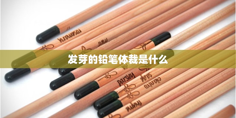 发芽的铅笔体裁是什么