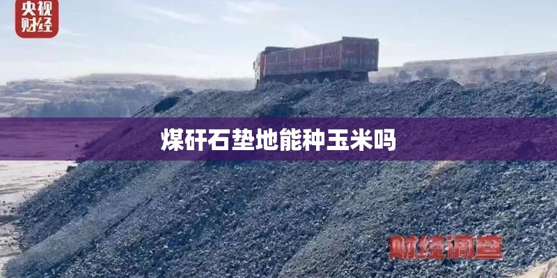 煤矸石垫地能种玉米吗 煤矸石垫地能种玉米吗