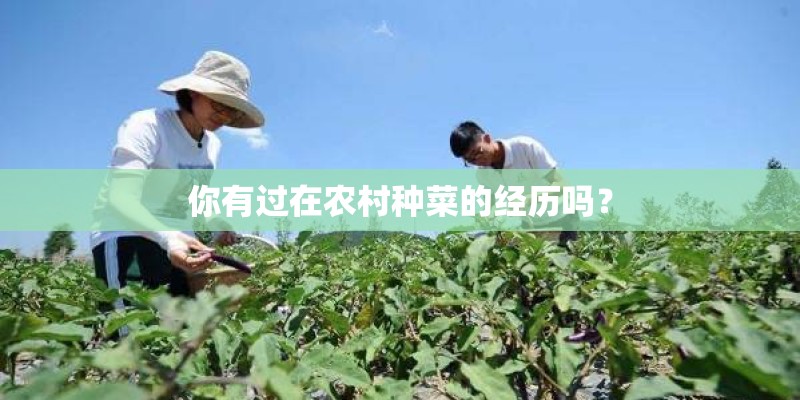 你有过在农村种菜的经历吗？