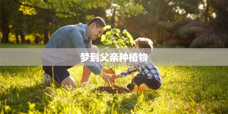 梦到父亲种植物 梦到父亲种植物
