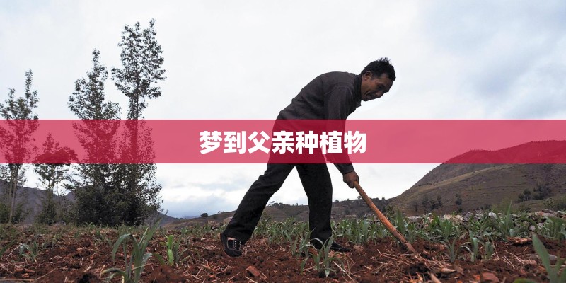梦到父亲种植物 梦到父亲种植物