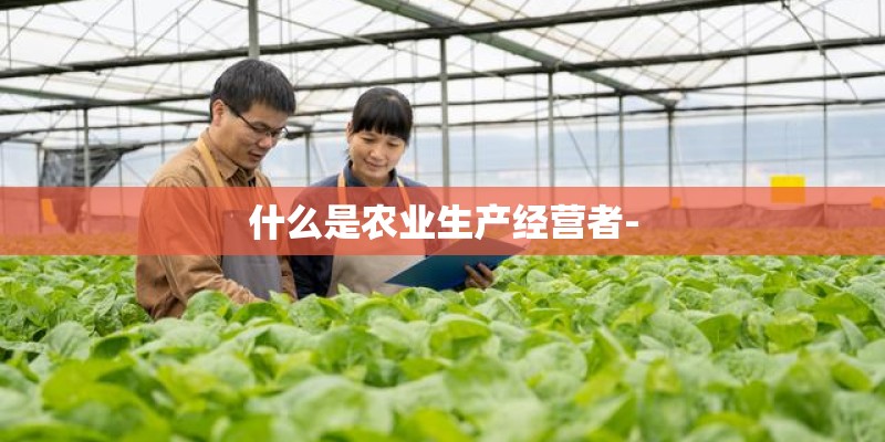 什么是农业生产经营者-