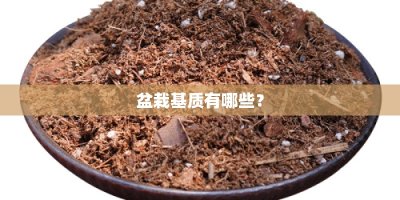 盆栽基质有哪些？