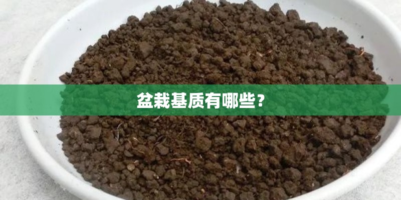 盆栽基质有哪些？