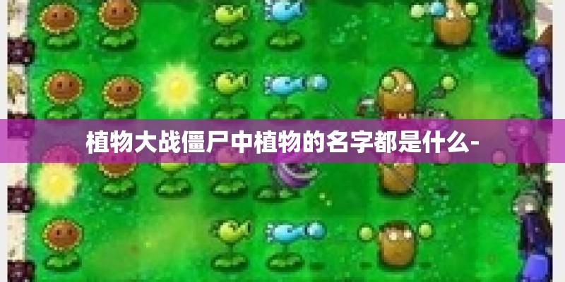 植物大战僵尸中植物的名字都是什么-