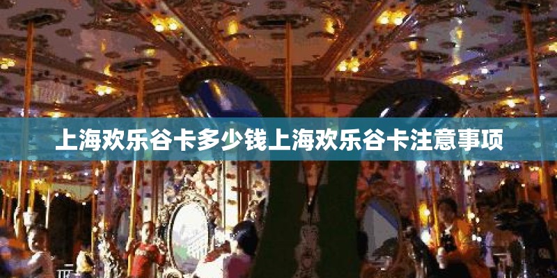 上海欢乐谷卡多少钱上海欢乐谷卡注意事项
