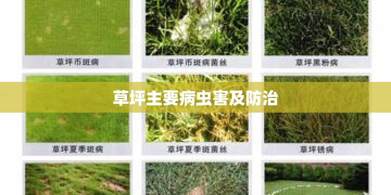 草坪主要病虫害及防治