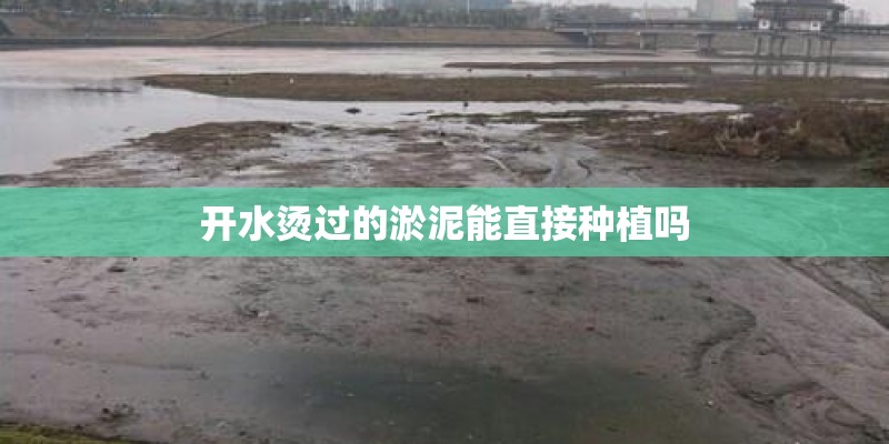 开水烫过的淤泥能直接种植吗 开水烫过的淤泥能直接种植吗