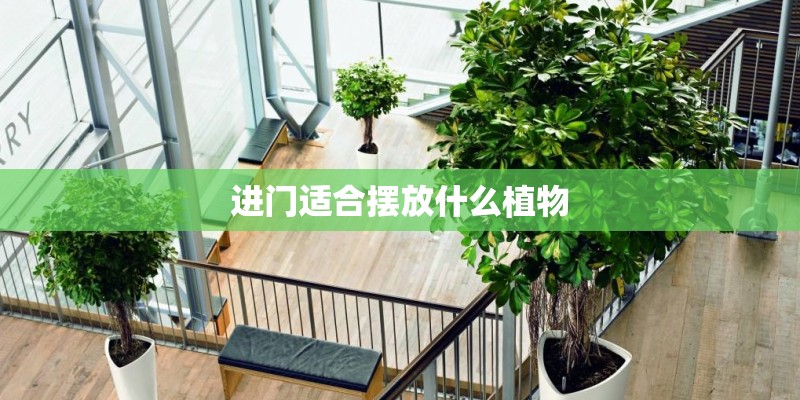 进门适合摆放什么植物