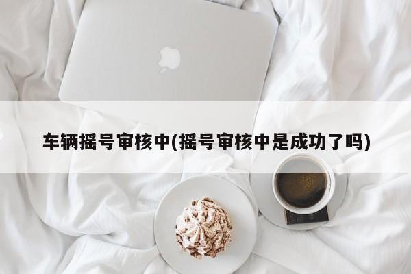车辆摇号审核中(摇号审核中是成功了吗)